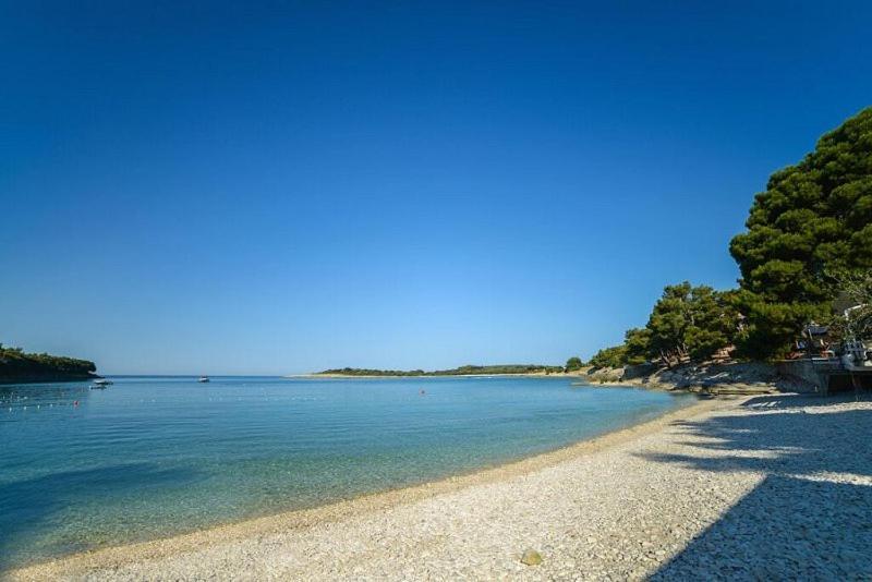 Apartments Bor Μεντουλίν Εξωτερικό φωτογραφία