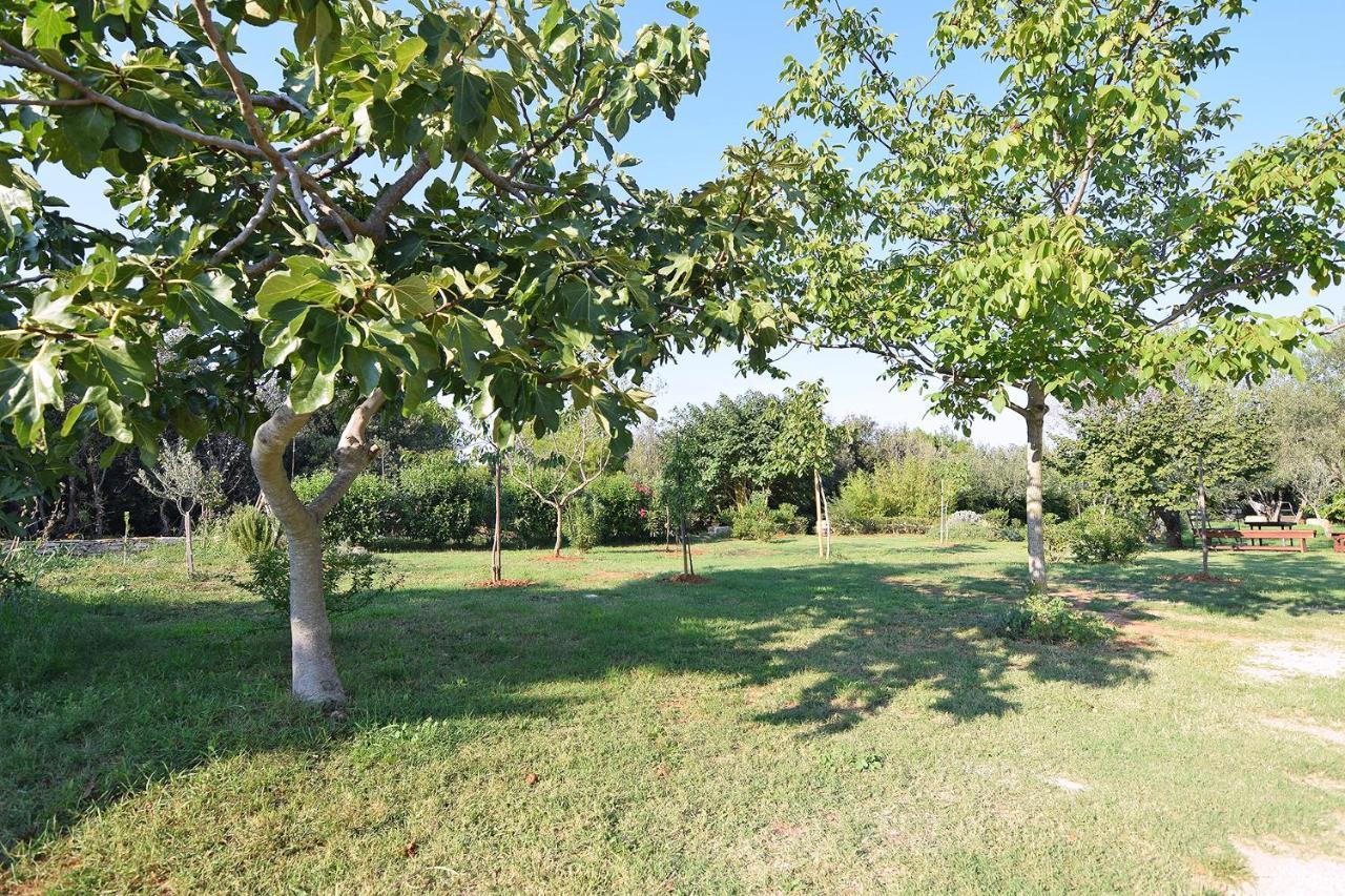 Apartments Bor Μεντουλίν Εξωτερικό φωτογραφία